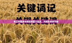 意大利国米中场控球能力出众，为球队带来平衡