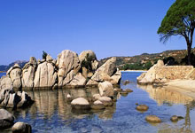 捷克惨败丹麦，摩洛哥凭借团结一心尽展风采