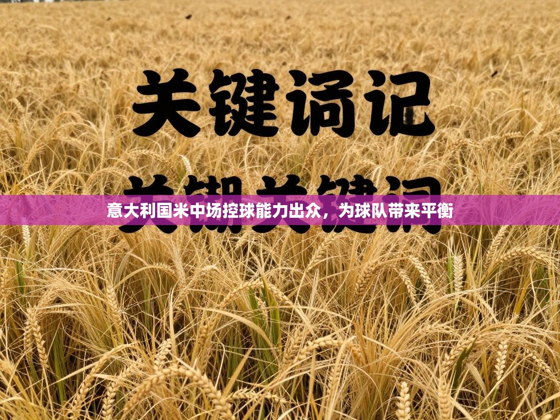 意大利国米中场控球能力出众，为球队带来平衡  第1张